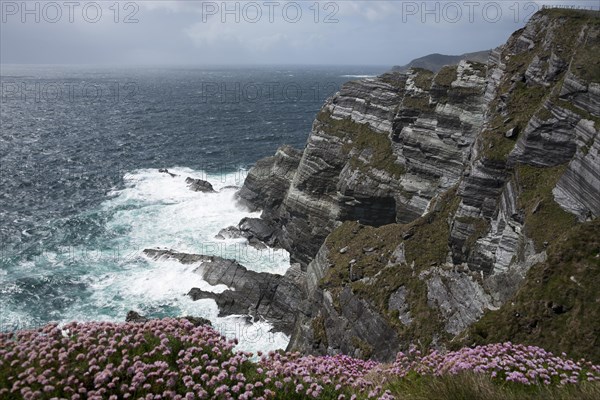 Kerry Cliffs