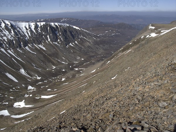 View of upland habitat