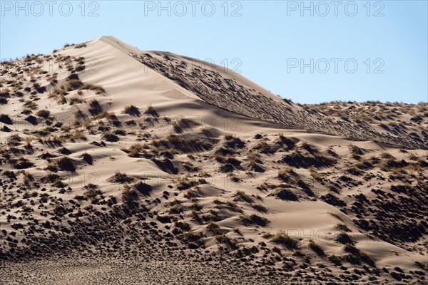 Sand Dunes