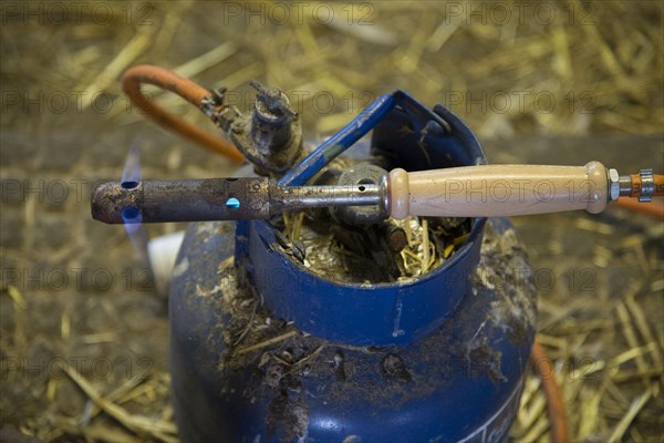 Gas-fired dry iron heating on dairy farm