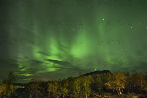 Aurora Borealis fell in the night