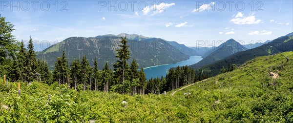 View from the Naggler Alm to the Weissensee