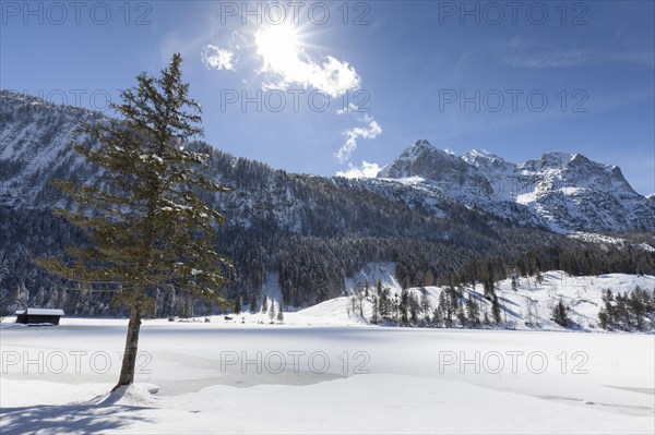 Winter landscape