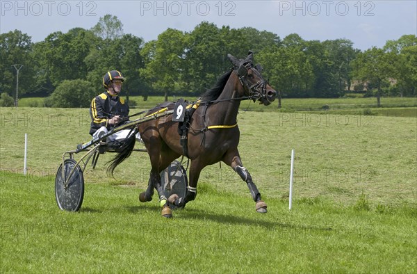 Horse racing