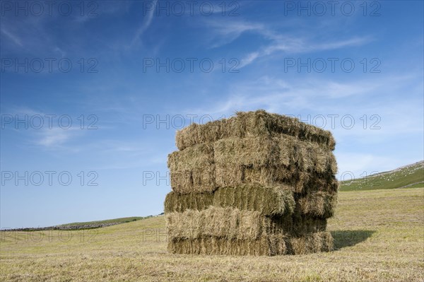 Hay bales stacked in figure of eight in field