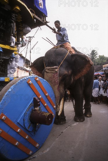 Elephant pushing the temple Chariot