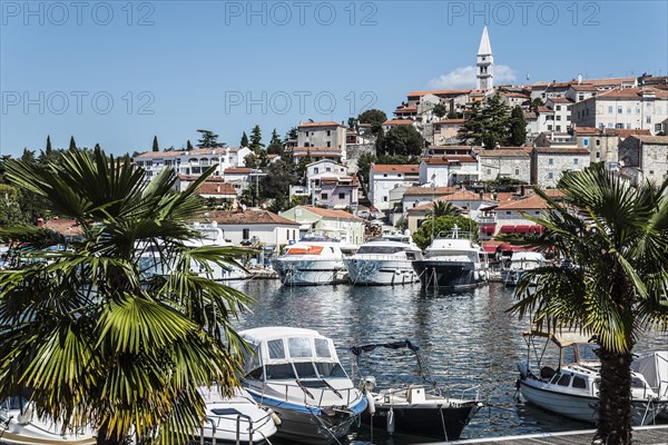 Old town and harbour