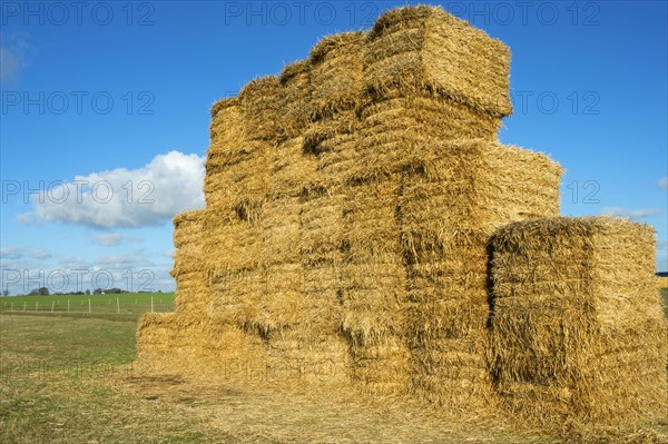 Big bale straw stack in the field