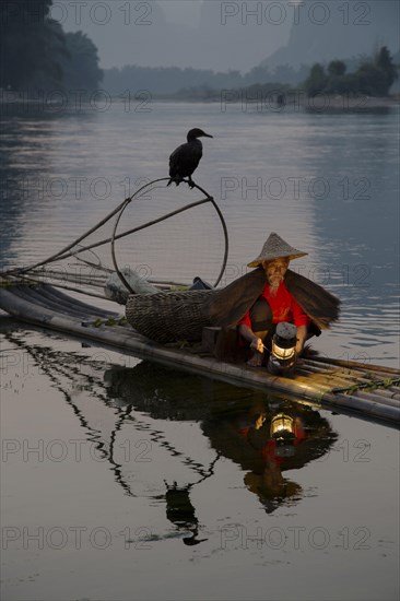 Traditional fisherman with trained cormorants