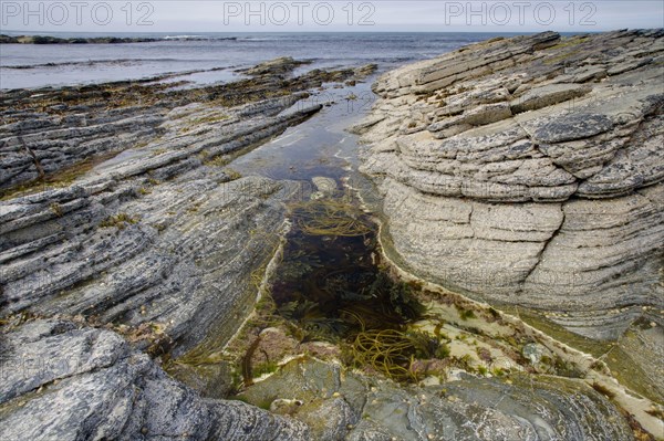 Rockpool on rocky coast at low tide