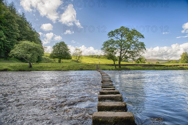 View of stepping stones across the river
