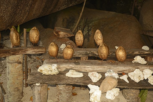 Ground coconuts as a souvenir