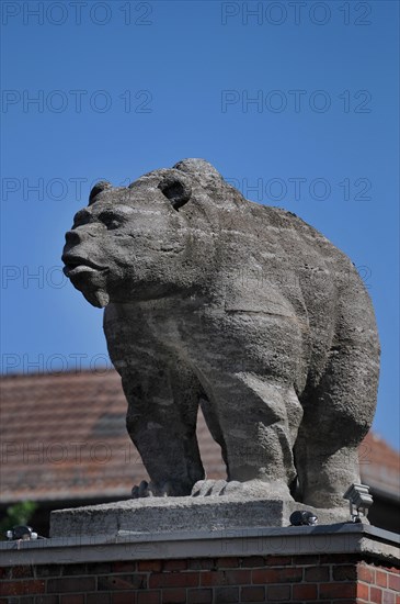 Berliner Baer