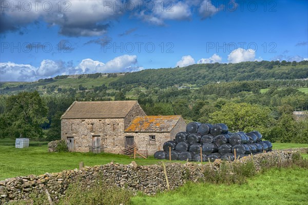 View of pasture