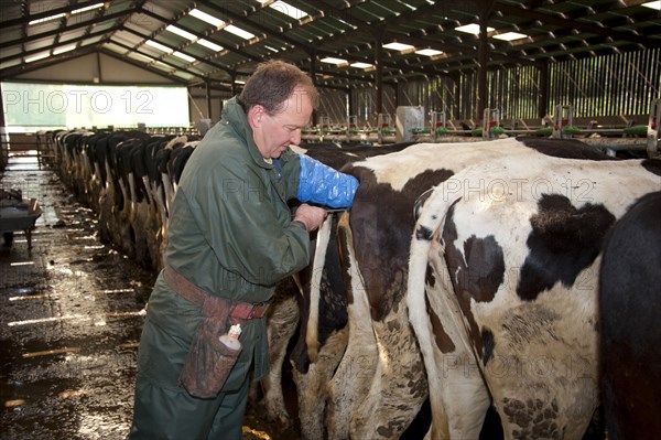 Dairy farming