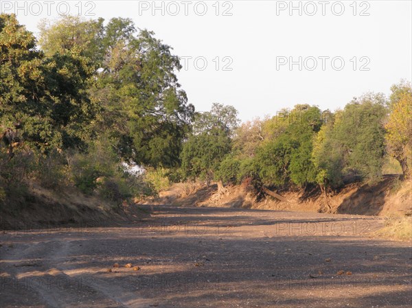 Dry riverbed of a seasonal river