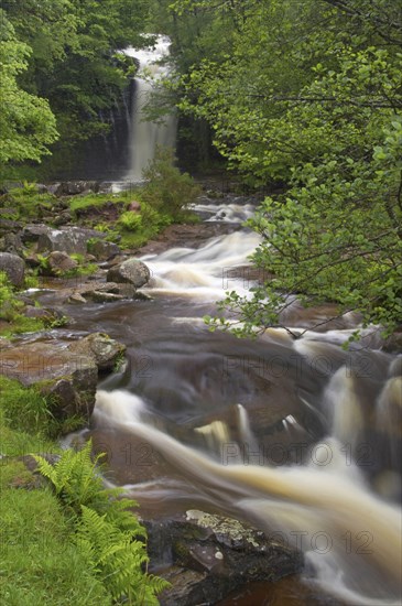 Waterfall and Cascades by the River