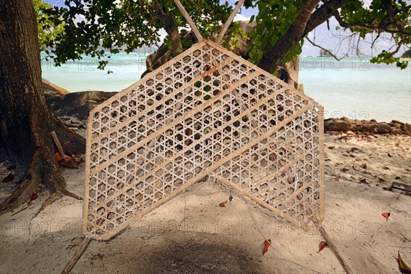 Traditional fish trap