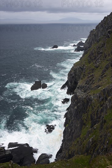 Bray Head