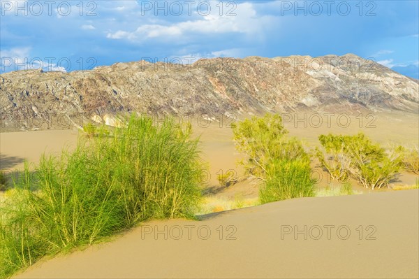 Singing Dunes