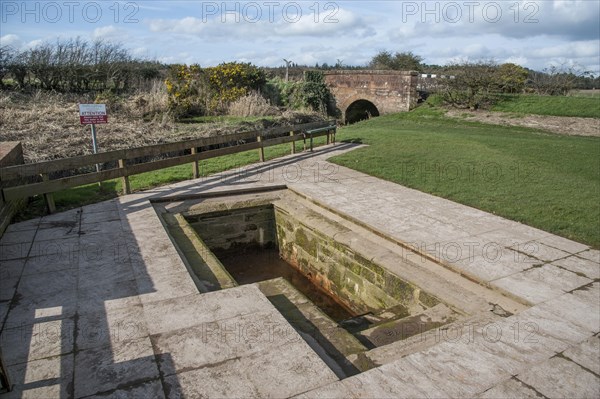 Chalybeate mineral spring