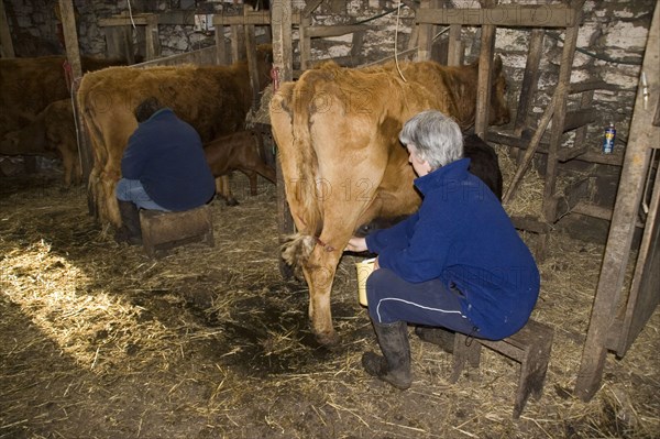 Baeuerin milks by hand