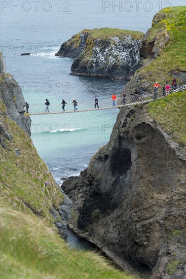 Suspension Bridge