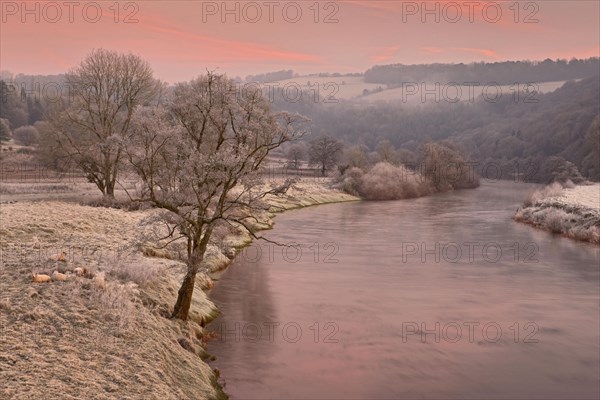 View of the river at dawn