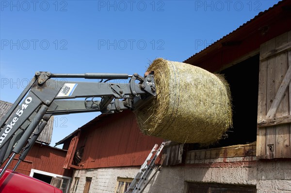 Loading round bale of hay into hayloft with front loader bale spike on Case tractor