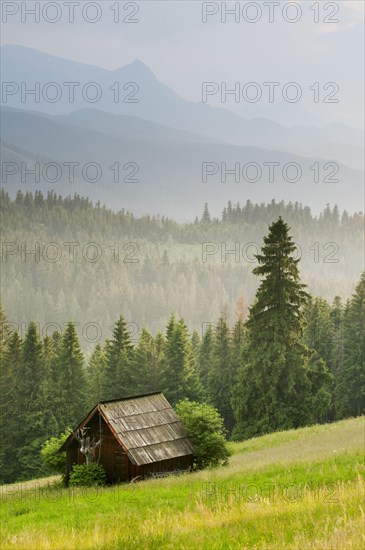 View over meadow