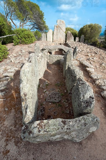 Tomb of the Giants