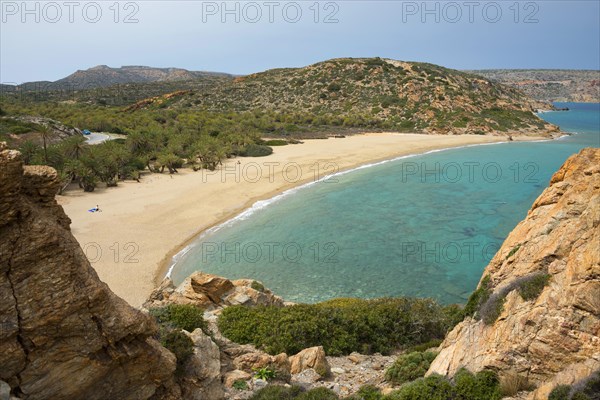 Palm beach of Vai with Cretan cretan date palm