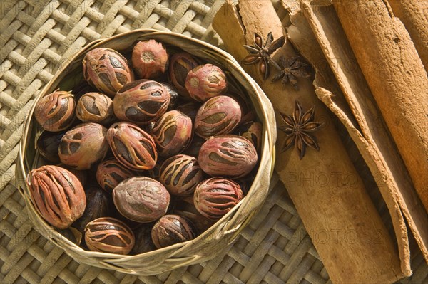 Nutmeg tree