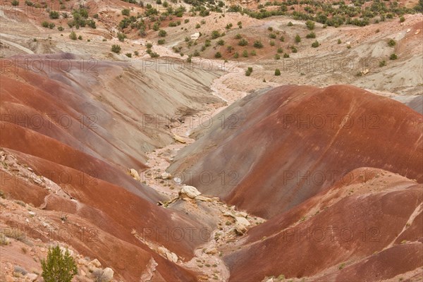 View of colourful 'badlands' habitat