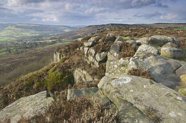 View of upland habitat and Gritstone Edge in the late afternoon