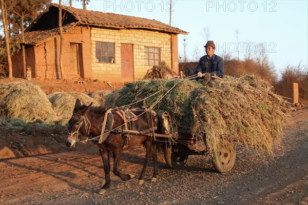 Farmer with mule and cart