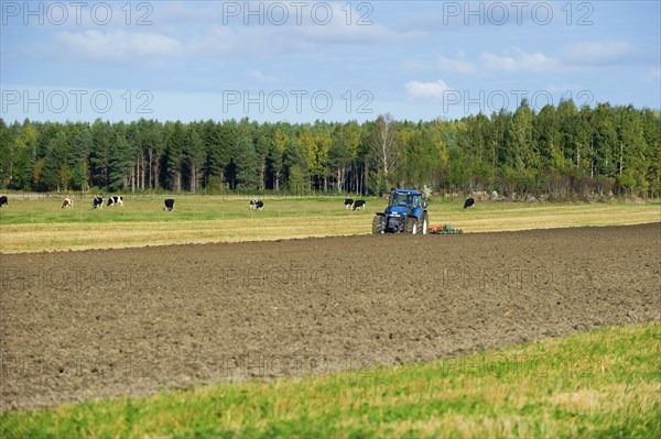 Tractor ploughing arable field