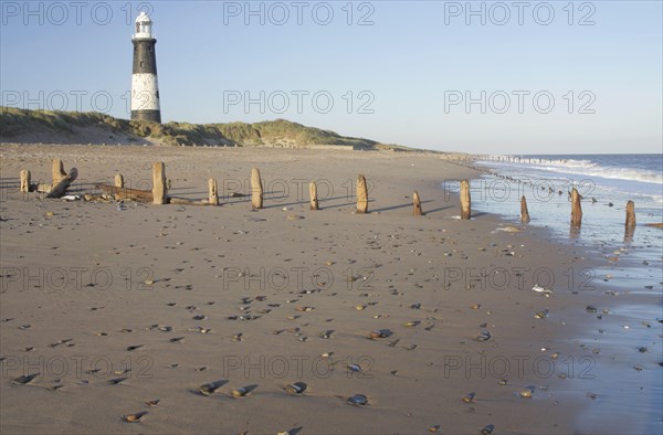 View of eroded groynes on the beach and lighthouse in the evening light