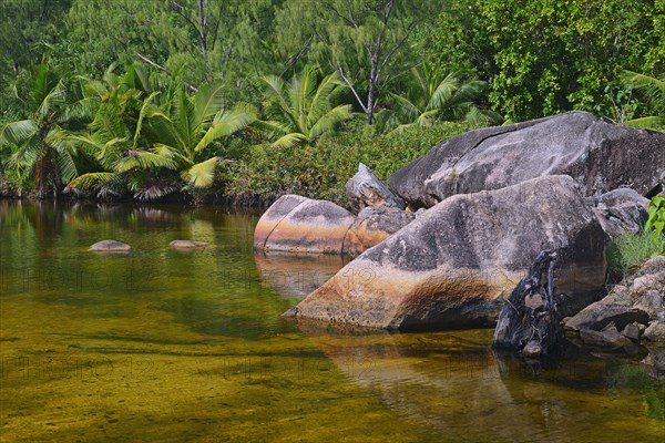 Brackish water lagoon at Anse Lazio