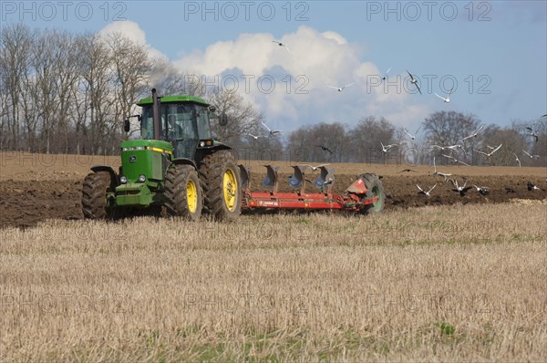 John Deere 4255 tractor pulling Kverneland plough followed by Black-headed Gull and rook flock