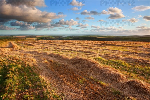 View of farmland with straw in the field in the late evening sun