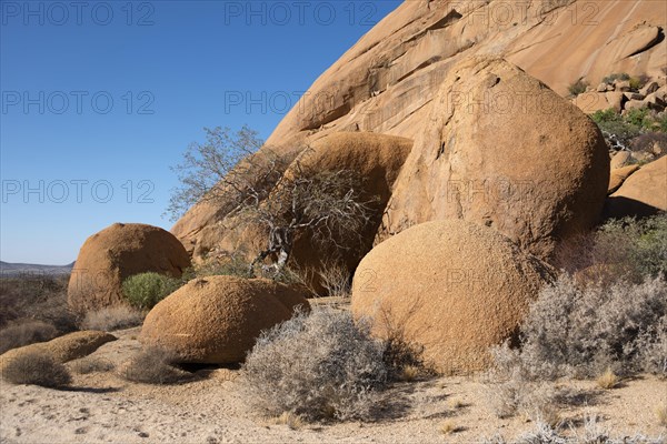 Granite Rocks