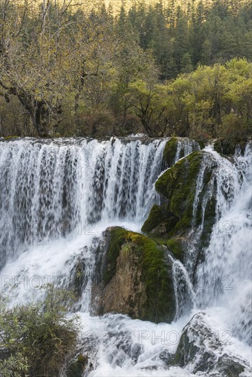 Waterfall in Bamboo Lake