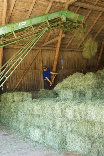 Farmer stacking small bales next to the lift in the barn