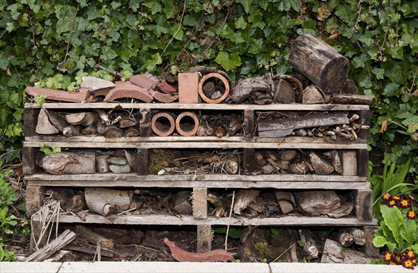 'Insect Hotel' habitat creation on primary school premises