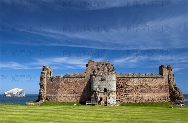 Bass Rock and Tantallon Castle