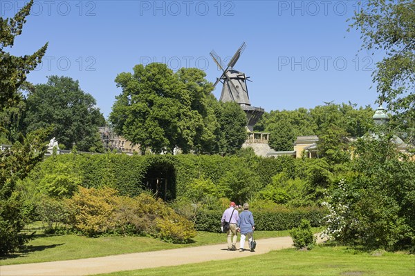 Historical Mill