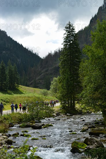 Mountain stream