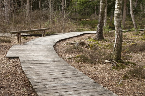 Wooden path