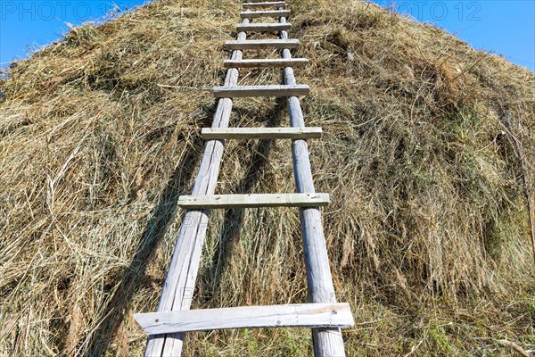 Ladder on a haystack
